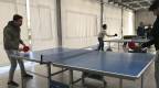 Mesas de ping pong